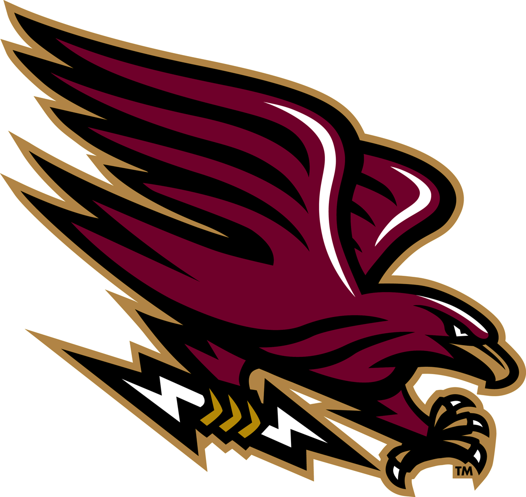 Louisiana-Monroe Warhawks 2006-2010 Alternate Logo 05 iron on paper